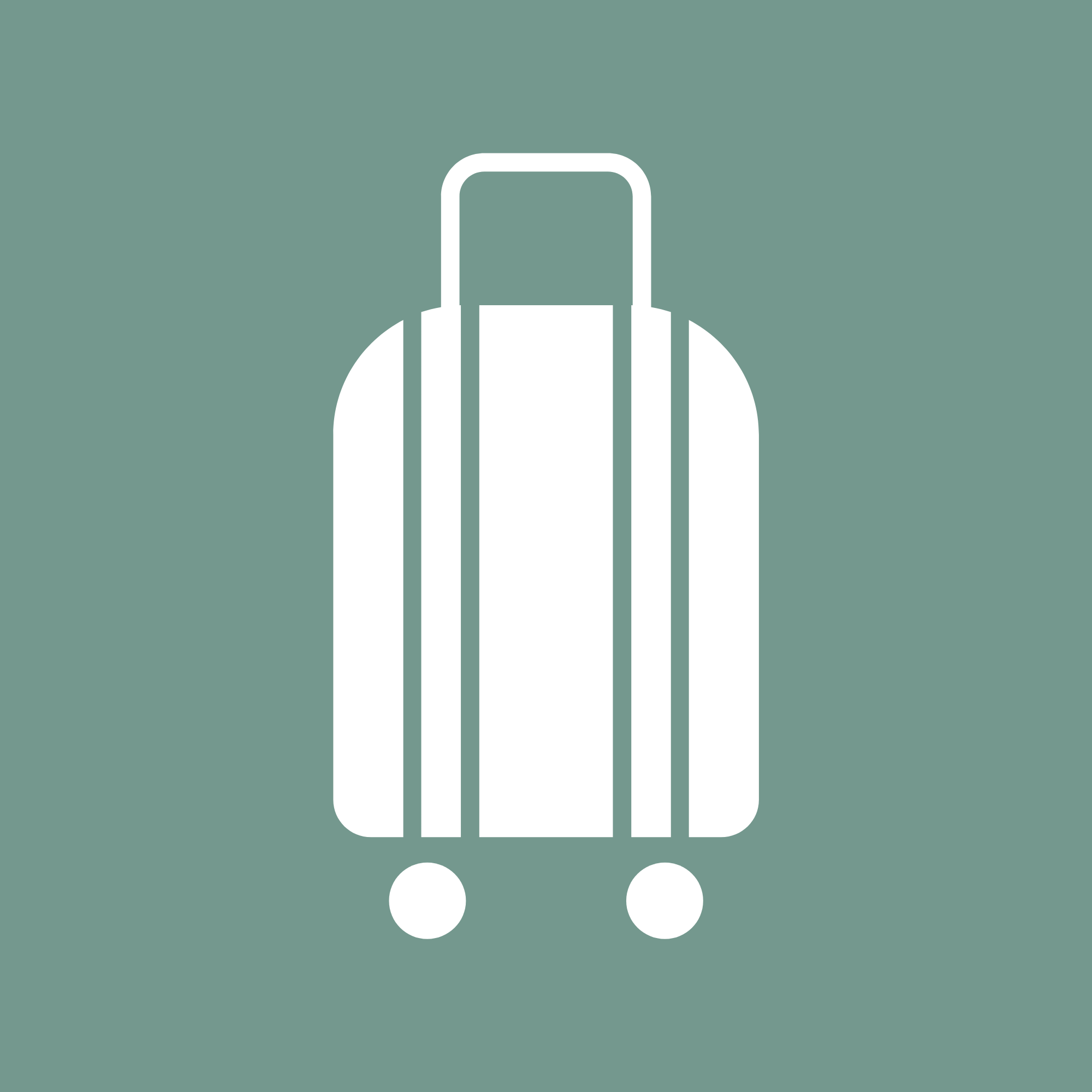 Carry On Setup logo